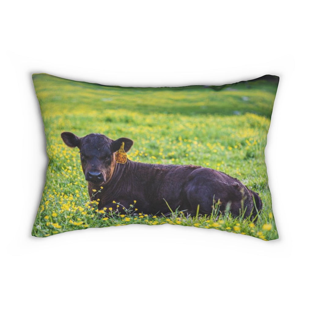 “Black Calf” Spun Polyester Lumbar Pillow