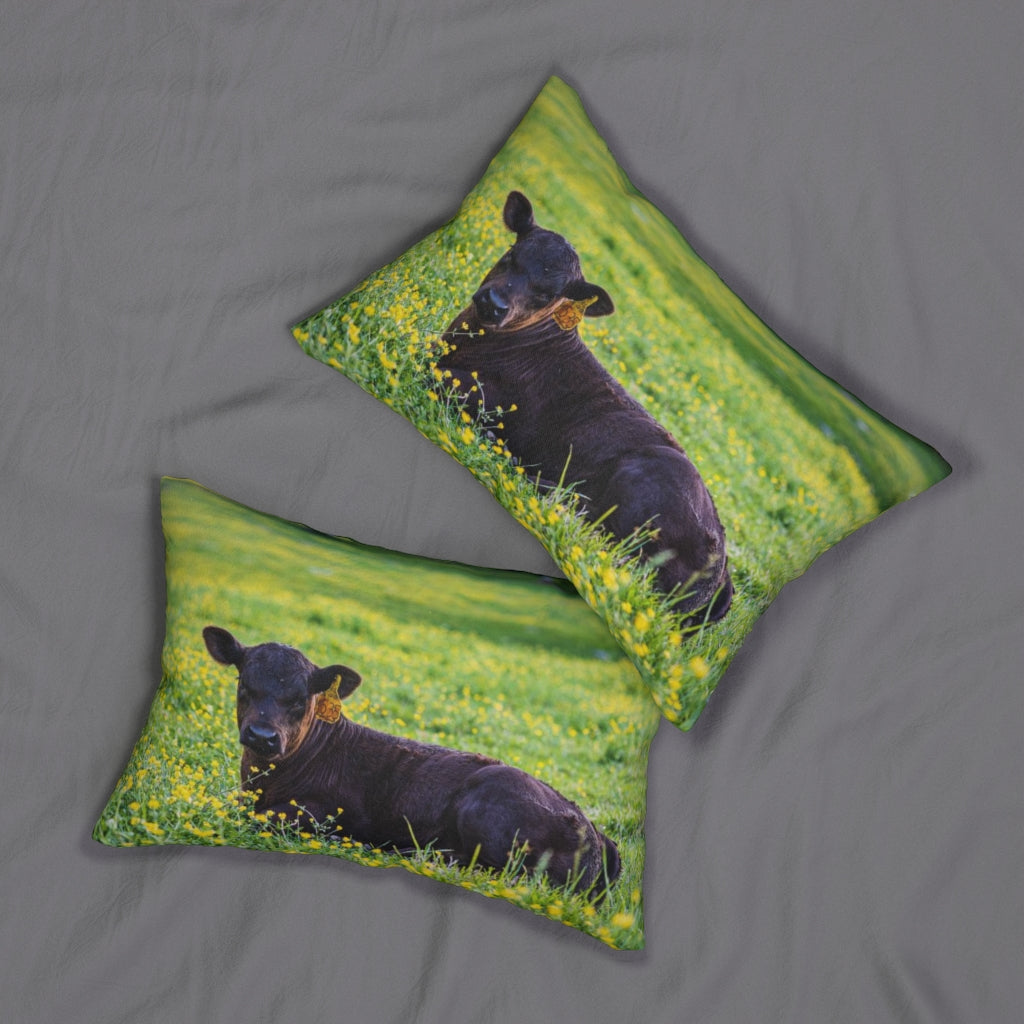 “Black Calf” Spun Polyester Lumbar Pillow
