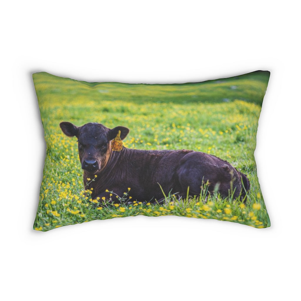 “Black Calf” Spun Polyester Lumbar Pillow
