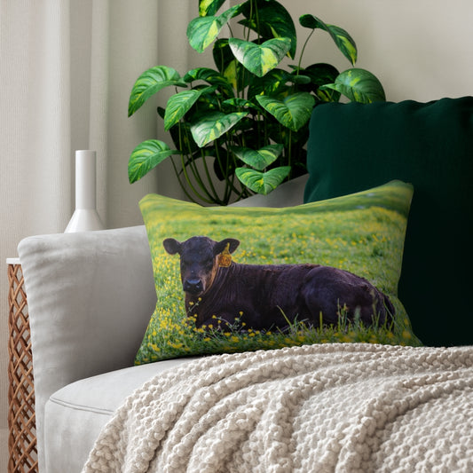 “Black Calf” Spun Polyester Lumbar Pillow